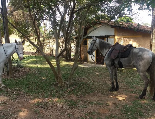 Fazenda dos Anjos (13)