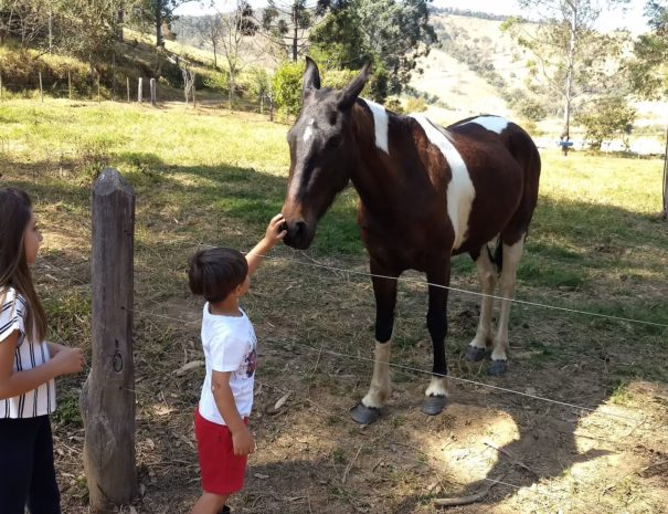 Fazenda dos Anjos (3)